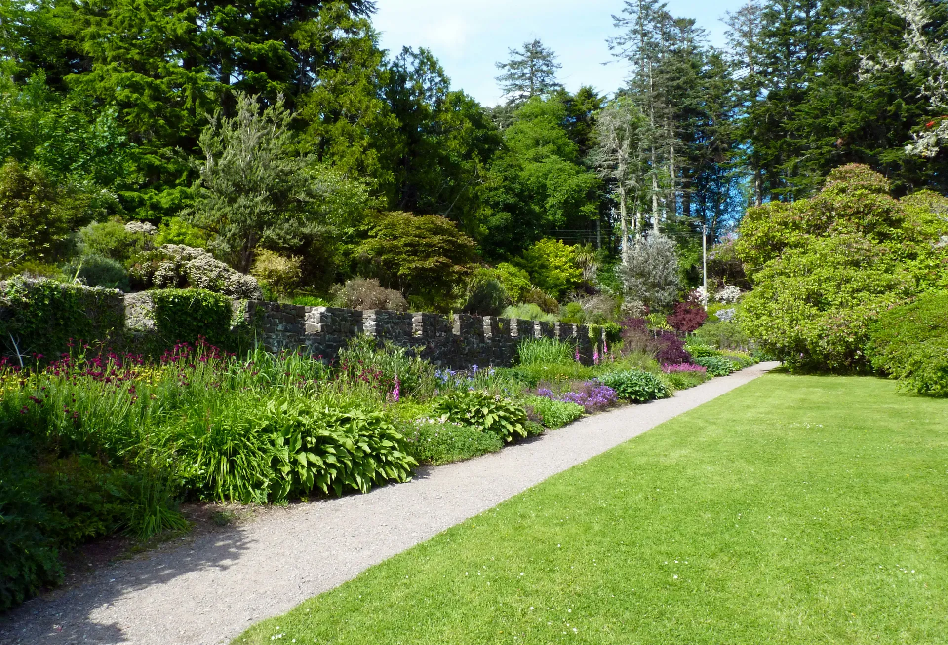 Scenic landscape for gallery banner