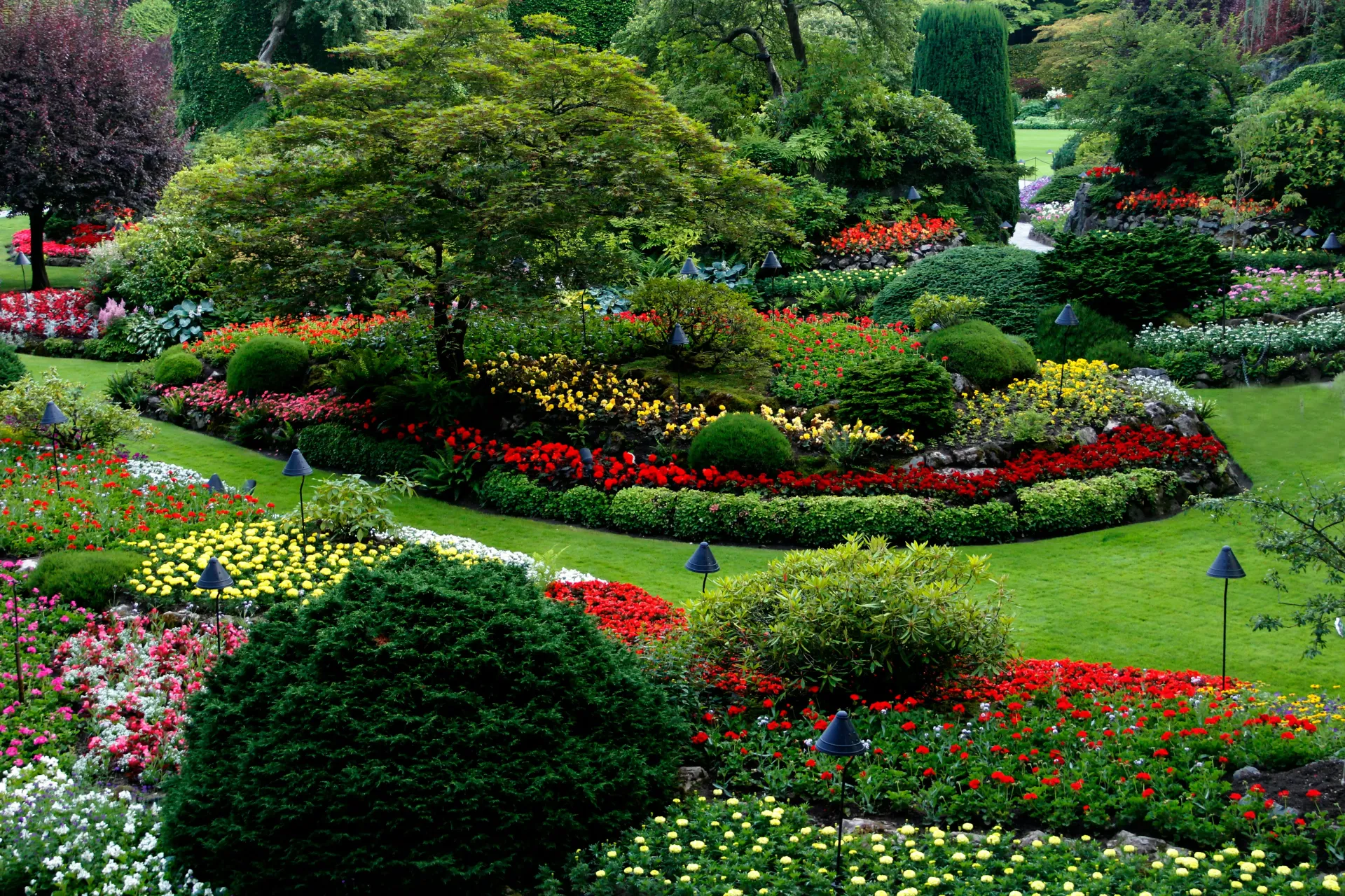 Beautifully landscaped garden path