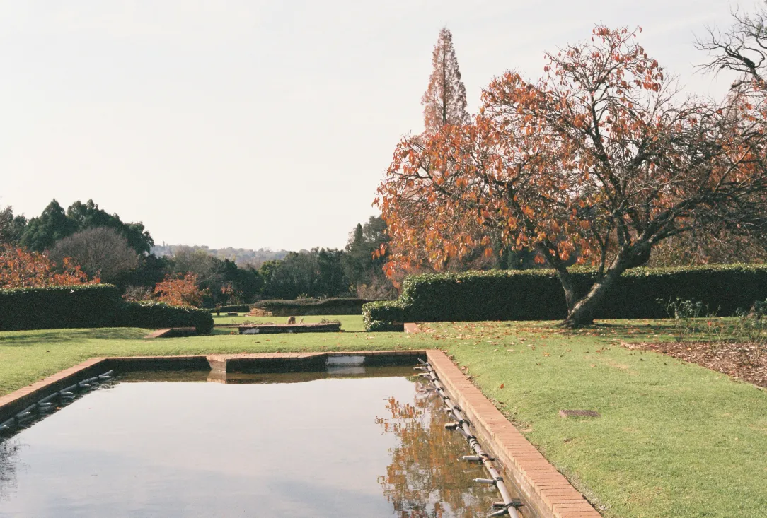 Seasonal landscape maintenance in progress
