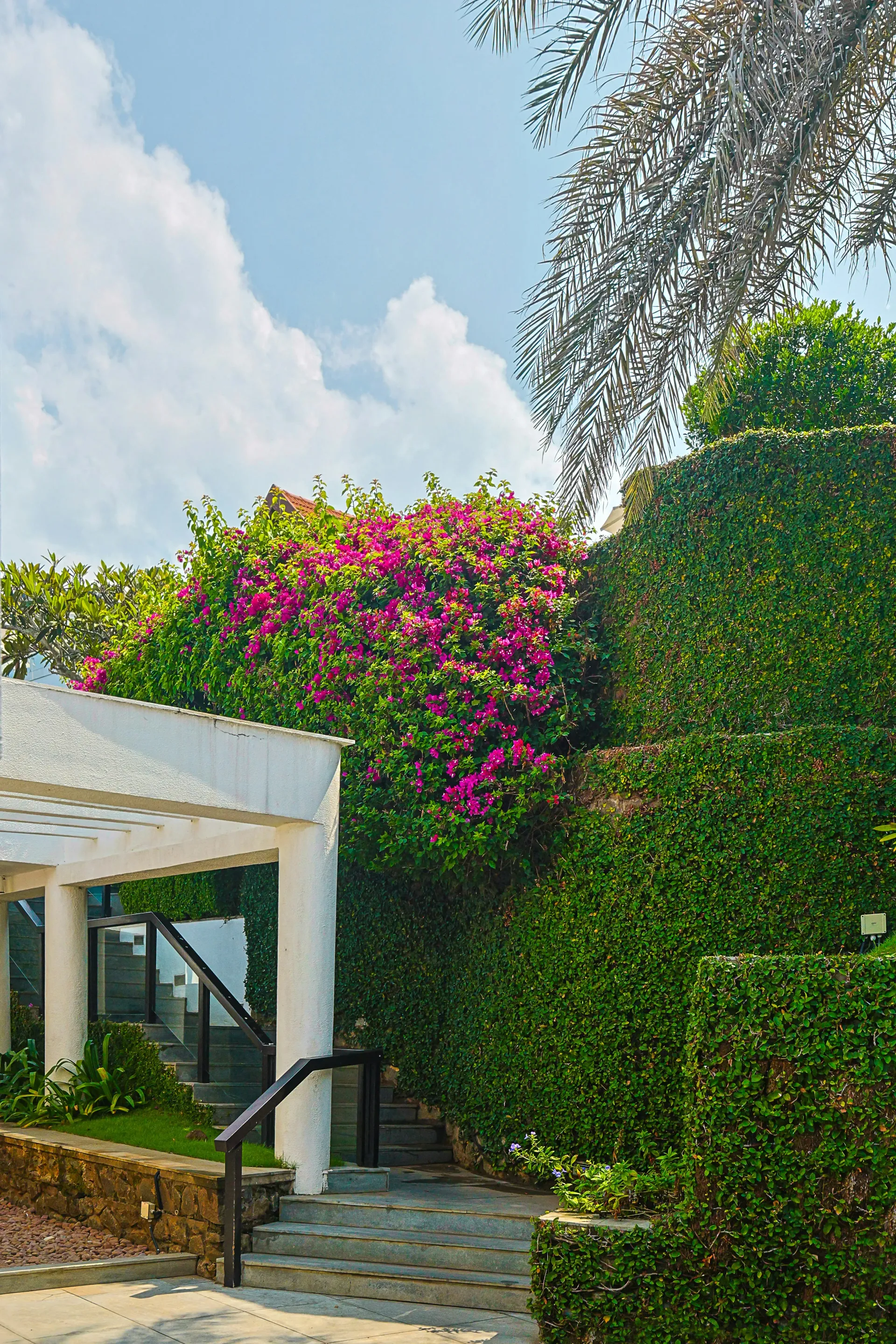 Beautifully maintained seasonal landscape by Verdant Landscapes